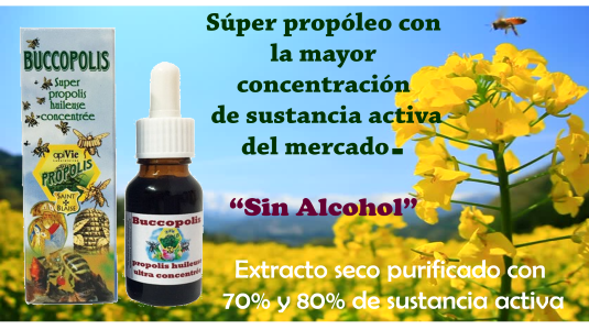 Buccopolis 15 ml apivit -canaan